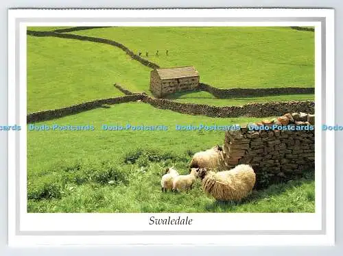 D335568 Swaledale. The Yorkshire Dales. Richter. LC. 64. Alan Curtis