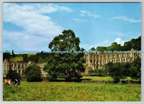 D332824 North Yorkshire. Abtei Rievaulx. Refektorium und Abteikirche aus Süd E