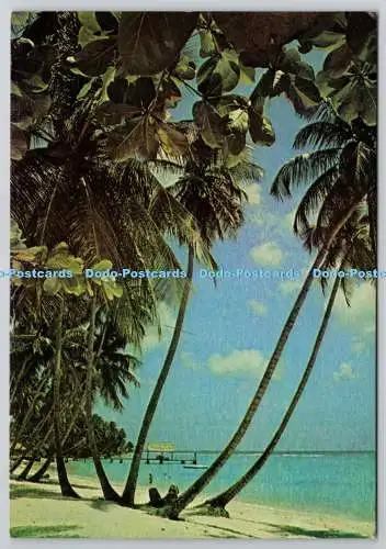 D330168 Westindien. Trinidad und Tobago. Taubenpunkt auf Tobago einer der lieben