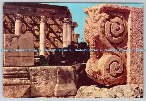 D327628 Kapernaum. Antike Synagoge. Isranof. Tel Aviv