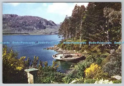 D332836 Ross Shire. Loch Ewe von Inverewe Garden. J. Arthur Dixon Ltd. Dr. J. M