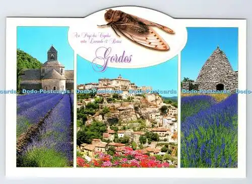 D335619 Gordes. Abbaye de Senanque. Borie. Ste PEC. Wie De Coeur. Multi View