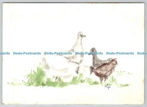 D327713 Zeichnung mit Hühnern. C. P. Postkarte