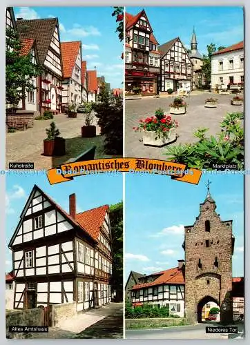 D330280 Romantisches Blomberg. Blomberg i. Lippe. Schoning und Gebrüder Schmidt.