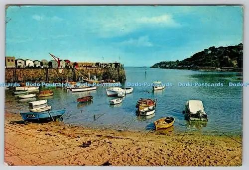 D327734 Rozel. Jersey. Kurze Stegunterstände. Harvey Barton. Bristol. PM Trikot.
