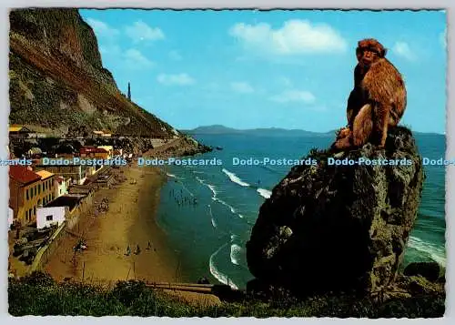 D327738 Gibraltar. Catalan Bay. Krüger. Rock Photographic Service