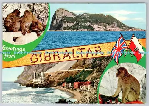 D327739 Gibraltar. Rock Photographic Service. Multi View