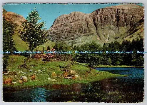 D327756 Glencoe. Argyll. Shepherds of Etive. Valentine and Sons. Dundee