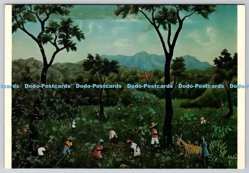 D327779 Raymond Dorleans. Recolte. Naders Art Gallery Show Room. Haiti. W.I.G