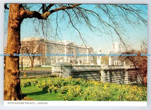 D335797 London. Buckingham Palace. Fotopräzision. Colourmaster International