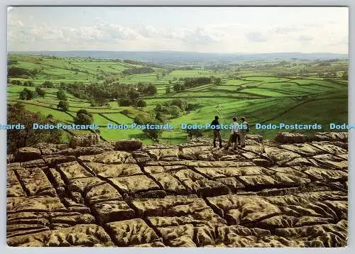 D333037 Malham. Yorkshire Dales. Kalksteinpflaster an der Spitze der Malham Cove. Richter