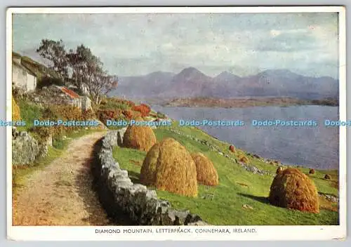 D327841 Diamond Mountain. Letterfrack. Connemara. Irland. Hely s Ltd.P.C