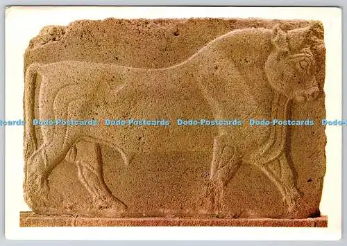 D327860 Ankara. Arkeoloji Muzesi. Bullenrelief. Andesit. Phrygisch. Donmez Offset