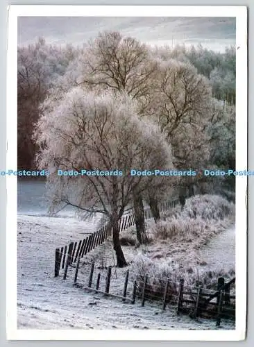 D330416 Frost. Colin Baxter 1983. Nur Bilder. Schottland. CB29. PM. Grantown auf
