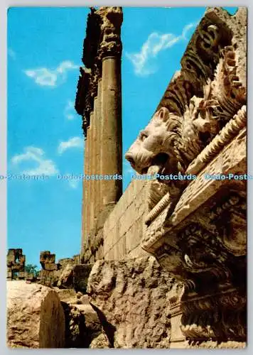 D330433 Libanon. Baalbeck. Details des Gesimses des Jupitertempels. Foto Sport. Be