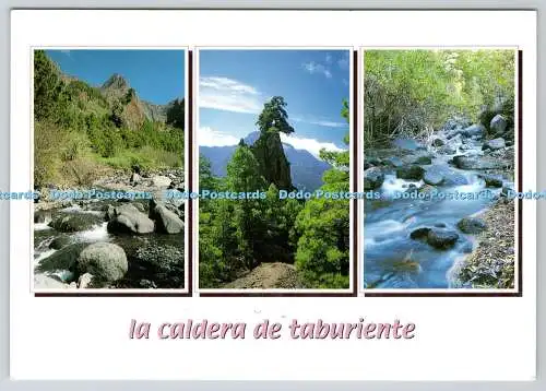 D330532 La Caldera de Taburiente. Isle de la Palma. Eddavid SCP. Multi View