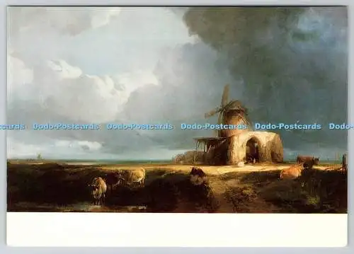 D333188 St. Benet Abbey on the Bure. Norfolk Museums Service. Woodmannsterne Publ