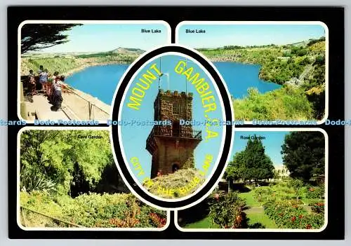 D330613 Mount Gambier. Stadt des Blauen Sees. Höhlengarten. The Rose Stereograph.