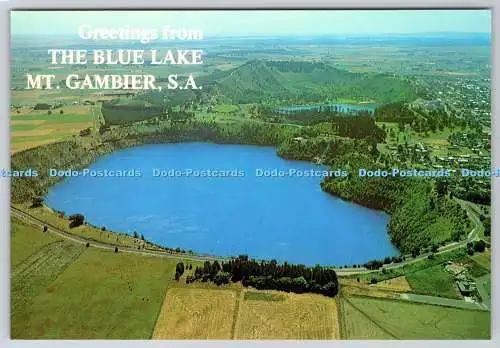 D330615 S.A.Mt. Gambier. Grüße vom Blauen See. The Rose Stereograph. R