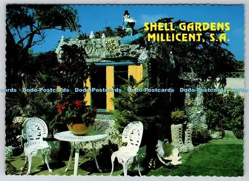 D330625 S.A. Millicent. Muschelgärten. Souvenirs Australien. A Pitt Card