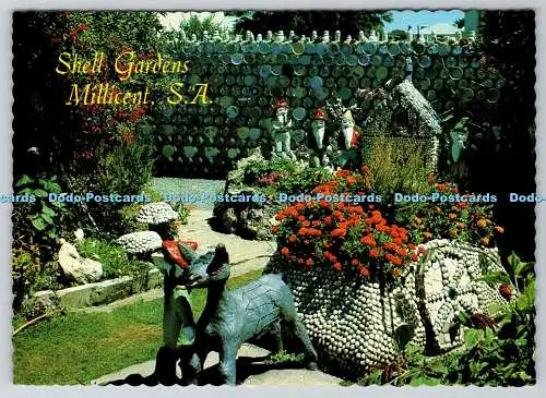 D330626 S.A. Millicent. Muschelgärten. Souvenirs Australien. A Pitt Card