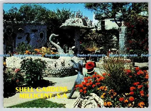 D330627 S.A. Millicent. Muschelgärten. Souvenirs Australien. A Pitt Card