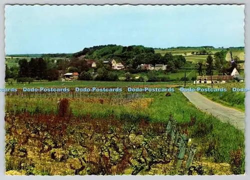 D333295 Vallee de Cousse. Vernou. Vue Panoramique. Valoire. 1976