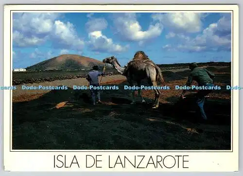 D328096 Isla de Lanzarote. Islas Canarias. Imagina S.L. Tullio Gatti. Lito A.R