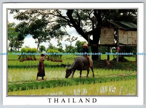 D330653 Thailand. Bauernjunge und -mädchen. Union Center. Surachit Jamonman