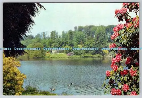 D328109 Stourhead. Stourton. Wiltshire. Watch Cottage and Grotte. Der National T