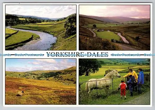 D328155 Yorkshire Dales. Litton Dale. Cotterdale. Arkengarthdale. Raydale. Rotkehlchen