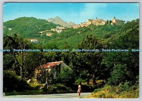 D330707 Isola D Elba. Poggio. Anubio Micaelli. G.M