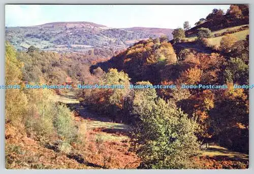 D330718 Breconshire. Llangenny in der Nähe von Crickhowell. J. Arthur Dixon. Newport. I.W.