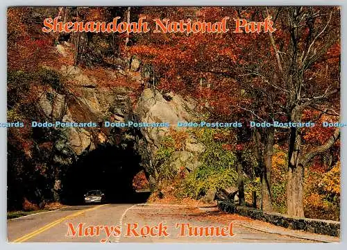 D333375 Shenandoah Nationalpark. Mary Rock Tunnel. Virginia. Karten unbegrenzt. 1