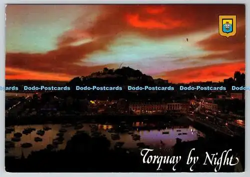 D330771 Torquay. Bei Nacht. Europa Karten. Neill Metcalfe