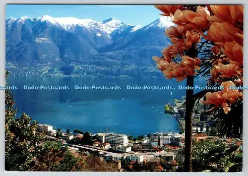 D330776 Locarno Muralto. Lago Maggiore. Foto Video Garbani
