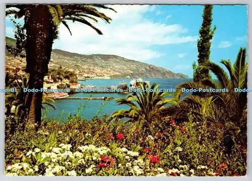 D328235 Funchal. Madeira. Ostansicht. Hans Huber KG. Francisco Ribeiro
