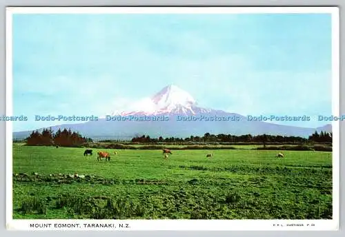 D328243 Halterung Egmont. Taranaki. Neuseeland. P. P. L. Hastings. PM Feilding. 196