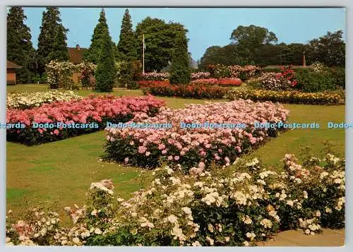 D330853 Der Pavillon Garten. Die Gärten der Rose. St. Albans. J. Arthur Dixo