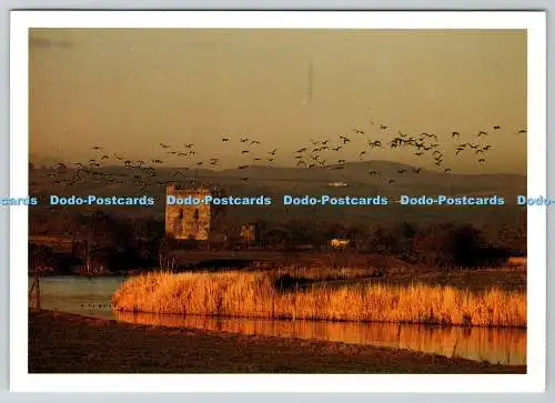 D328340 Dreierschloss. Allan Wright Fotografie. Galloway Grafix. Die Landschaft