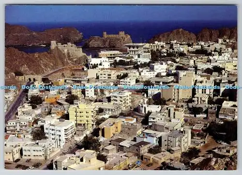 D330884 Ansicht des Muskateller-Sultanten von Oman. Familienbuchhandlung. PM. Hounslow. Middlese