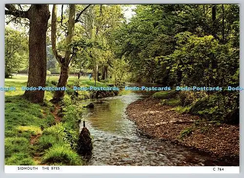 D330935 Sidmouth. The Byes. Richter. C. 764