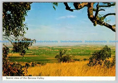 D333668 Panoramablick auf das Barossa-Tal. National View. Murfett