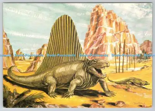 D328475 Dimetrodon. Ein fleischfressendes frühes Säugetier wie Reptil. Novus Verlag L