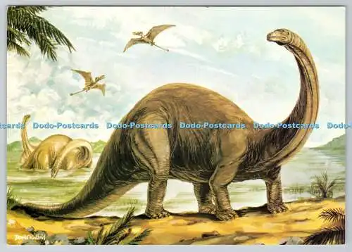 D328477 Brontosaurus. Schwerstes Landtier je bekannt. Novus Publishing Ltd. Mus