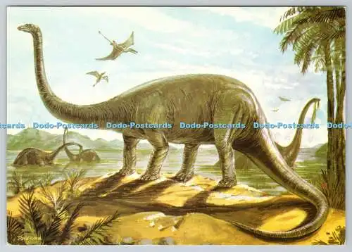 D328478 Diplodocus. Ein längster aller Dinosaurier. Novus Publishing Ltd. Museen und