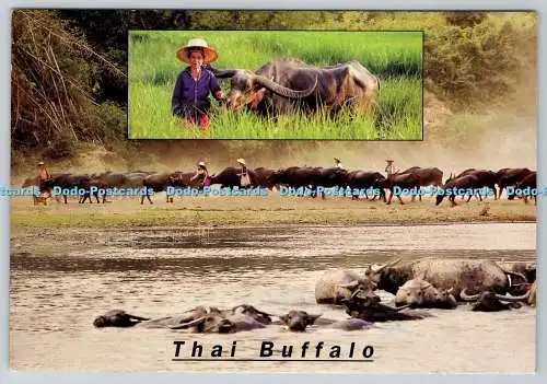 D328484 Thai Buffalo. Thailand. Good View Arts Co Ltd. Pinit Srimuangkao. Multi
