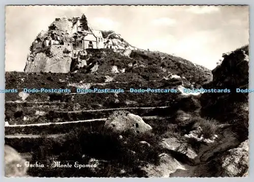 D331025 Ischia. Monte Epomeo. Angeli. Terni. RP