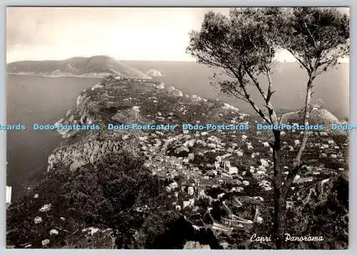 D331026 Capri. Panorama. Alterocca. Terni