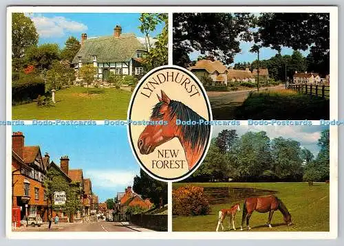D328506 New Forest. Lyndhurst. John Hinde. Redruth. Großbritannien. J. Arthur Di